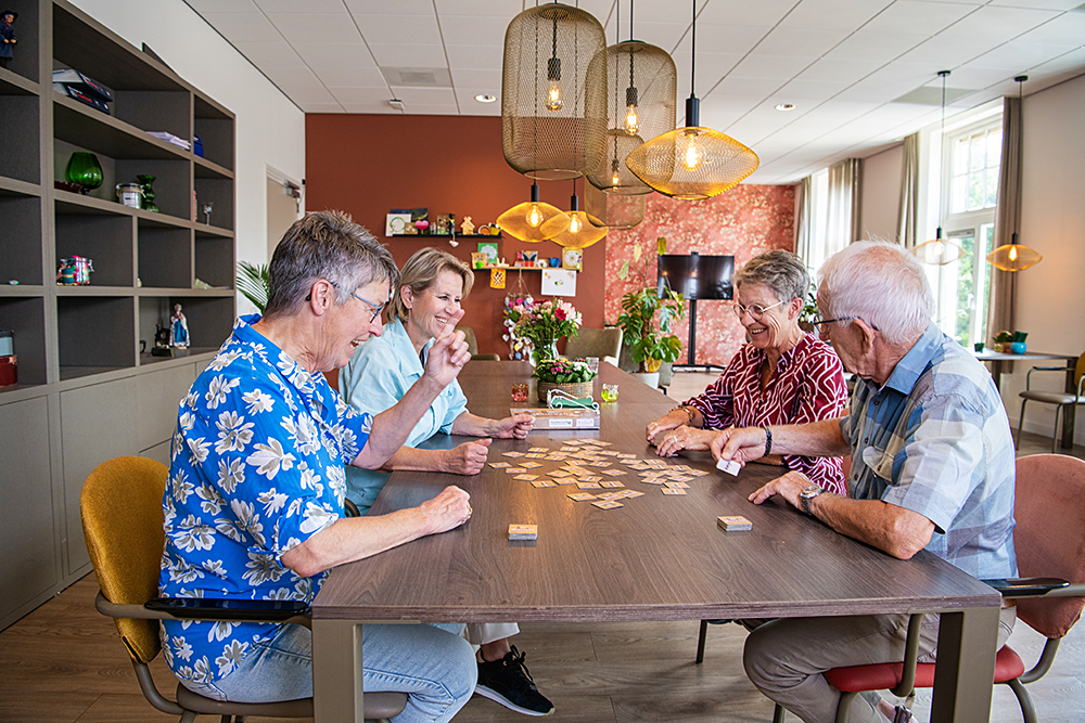 135Webversie